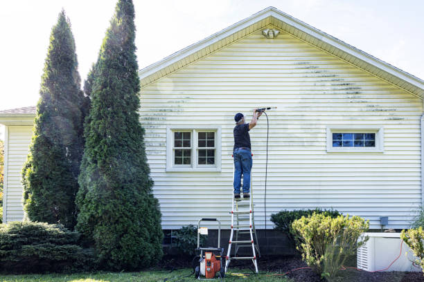 Best Driveway Pressure Washing  in Four Oaks, NC